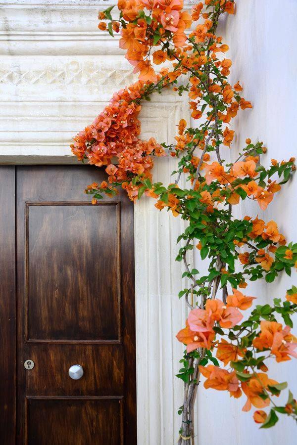 Il Giardino Bed & Breakfast Гроталие Екстериор снимка